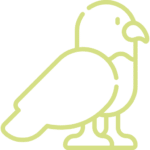 ruta ornitológica